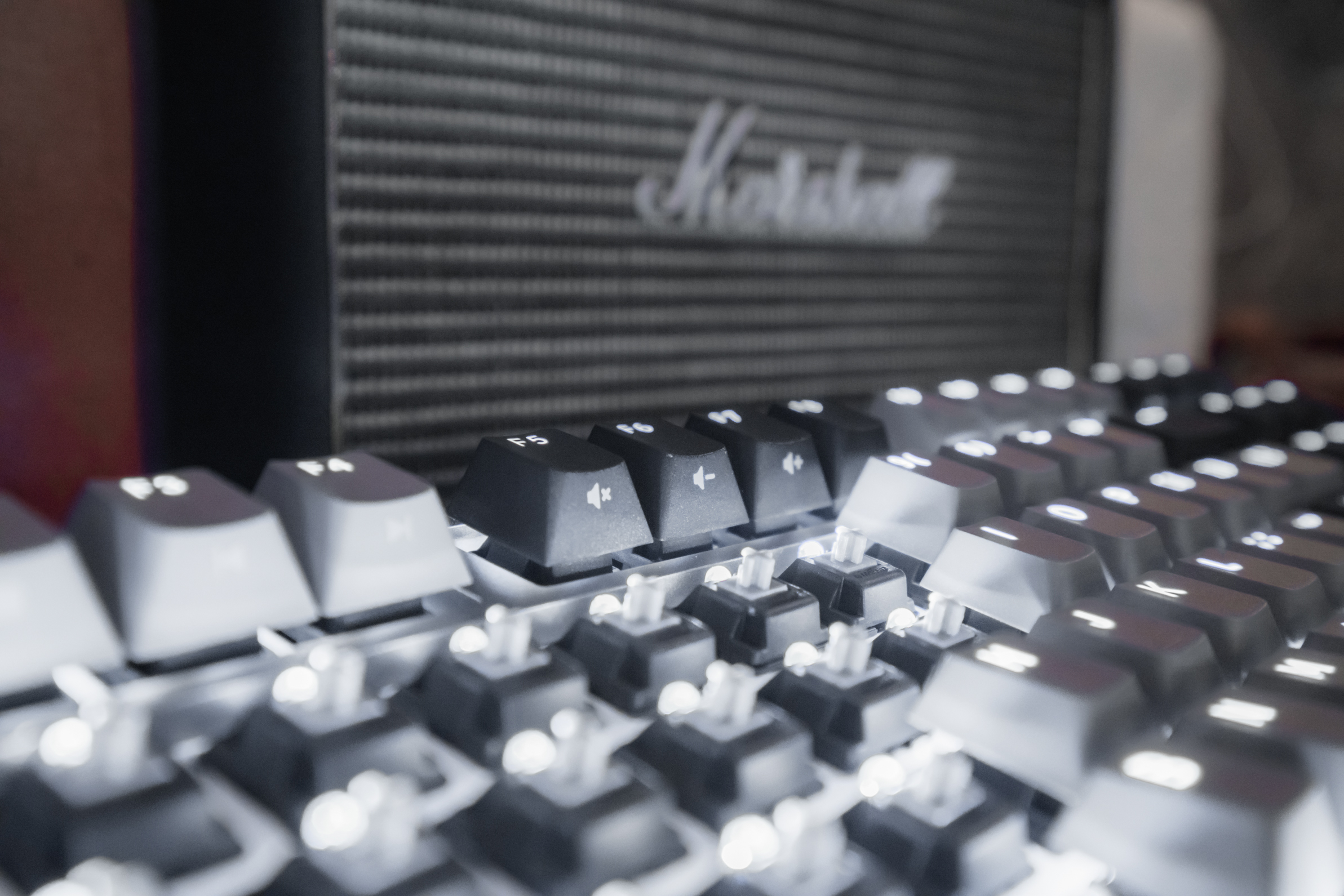 Backlit Mechanical Keyboards